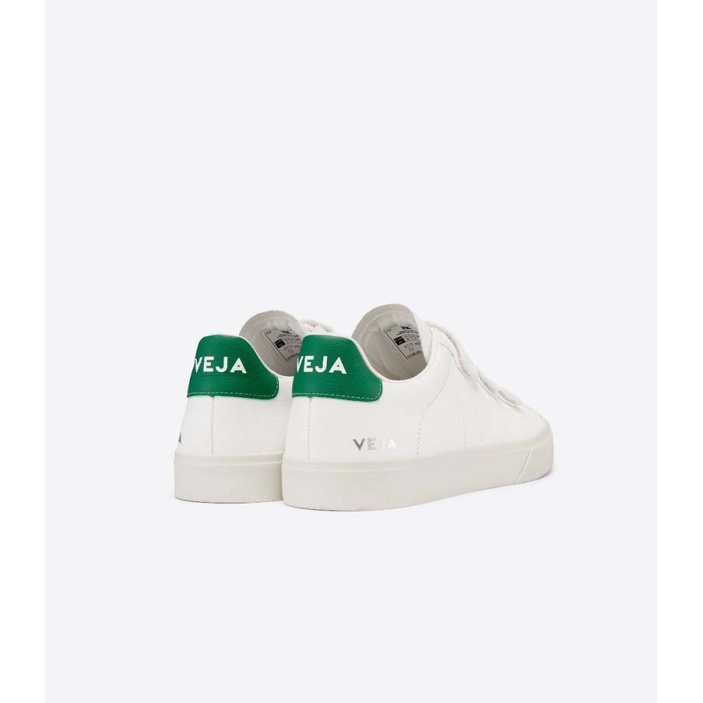 Veja RECIFE CHROMEFREE Men's Shoes White/Green | CA 199CTV